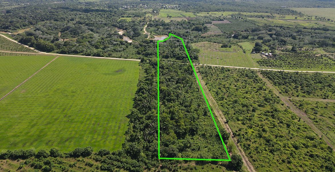 11 Acres on the North Stann Creek River