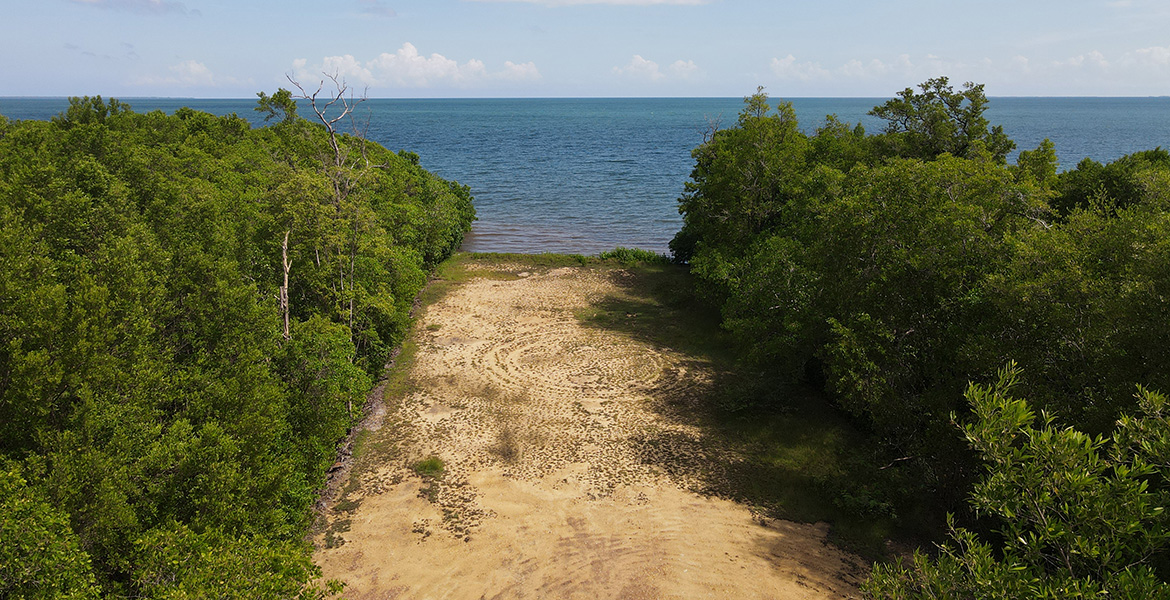Beachfront Paradise at Mangrove Resort