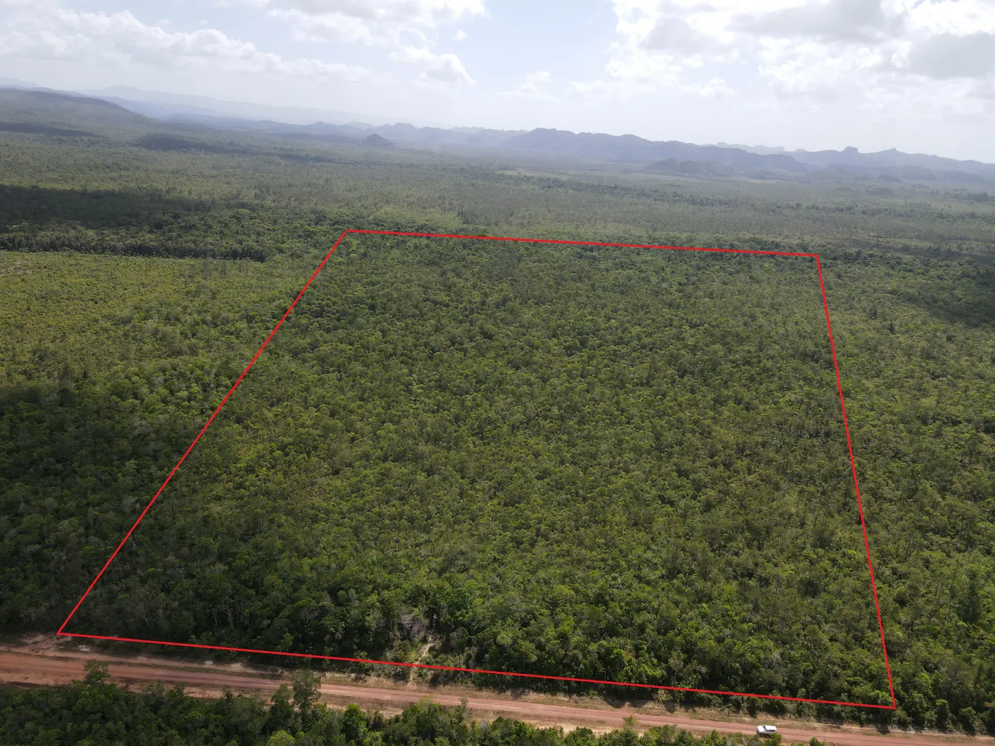 49-Acre Jungle Land for Sale in Belize – Coastal Road with Year-Round Creek & Fertile Soil
