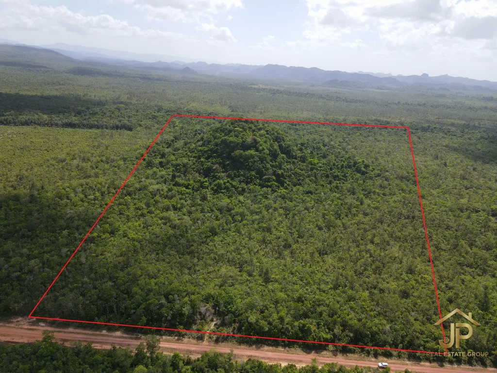 jungle land for sale in Belize – Coastal Road view – JP Real Estate Group