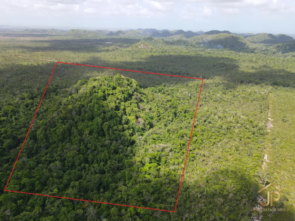 jungle land for sale in Belize – Coastal Road view – JP Real Estate Group