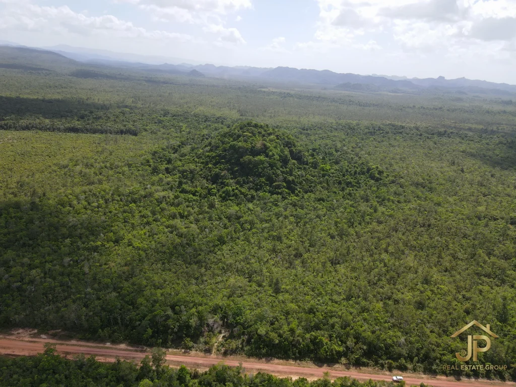 jungle land for sale in Belize – Coastal Road view – JP Real Estate Group
