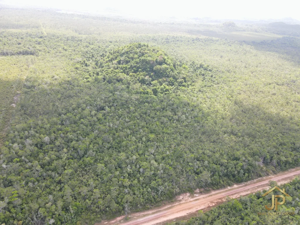 jungle land for sale in Belize – Coastal Road view – JP Real Estate Group