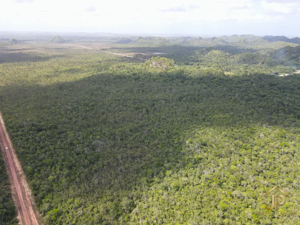 jungle land for sale in Belize – Coastal Road view – JP Real Estate Group