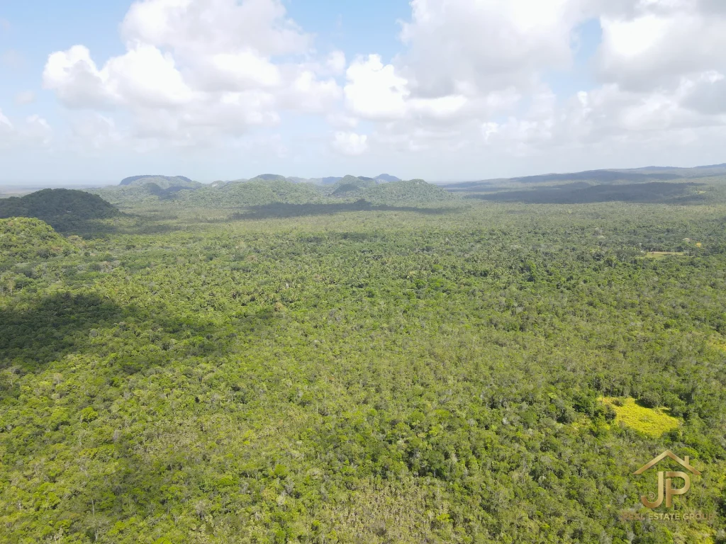 jungle land for sale in Belize – Coastal Road view – JP Real Estate Group