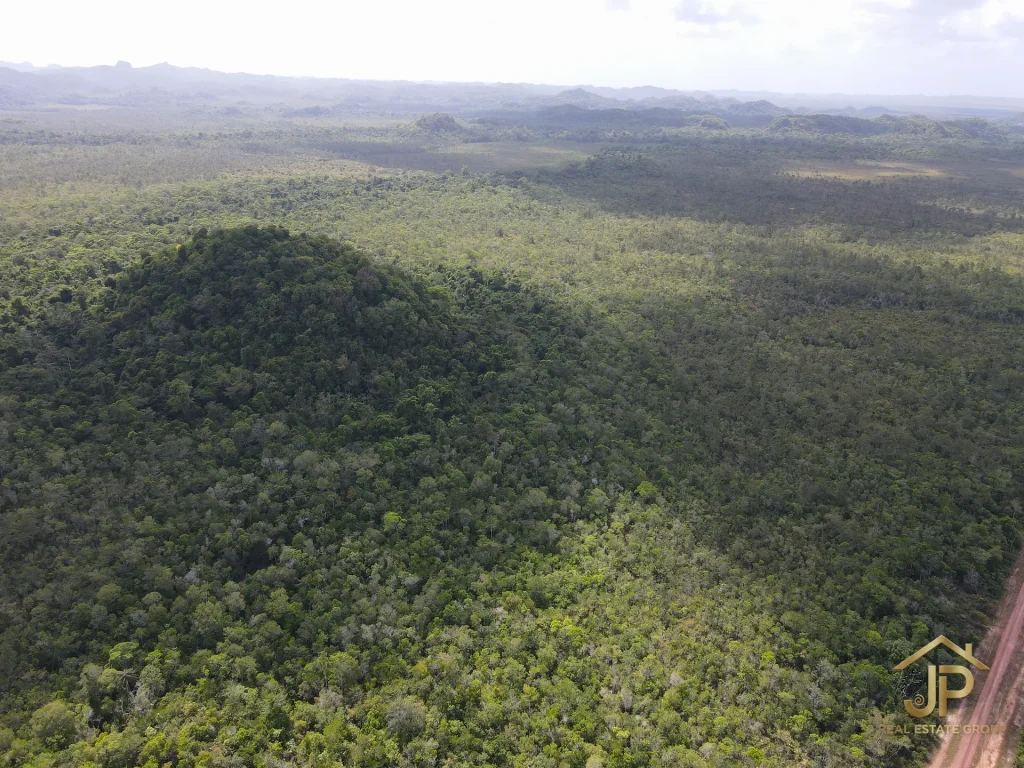 jungle land for sale in Belize – Coastal Road view – JP Real Estate Group