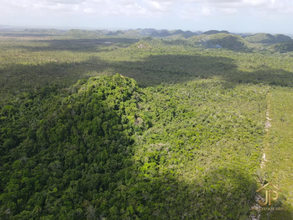 jungle land for sale in Belize – Coastal Road view – JP Real Estate Group