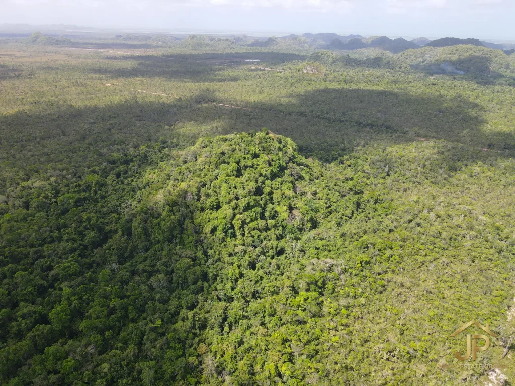 jungle land for sale in Belize – Coastal Road view – JP Real Estate Group