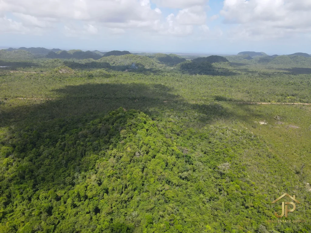 jungle land for sale in Belize – Coastal Road view – JP Real Estate Group