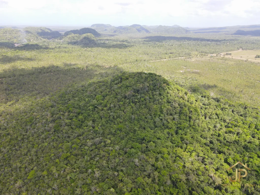 jungle land for sale in Belize – Coastal Road view – JP Real Estate Group
