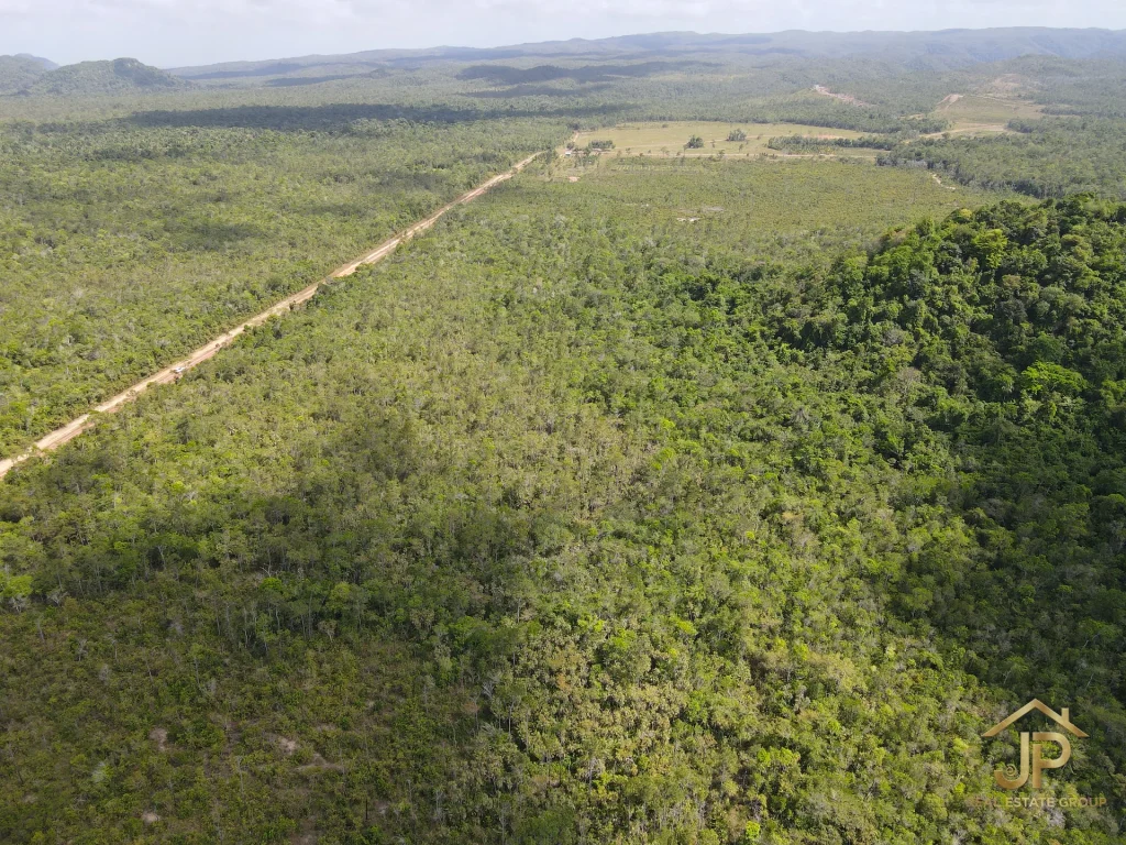 jungle land for sale in Belize – Coastal Road view – JP Real Estate Group