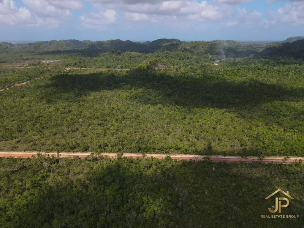 jungle land for sale in Belize – Coastal Road view – JP Real Estate Group
