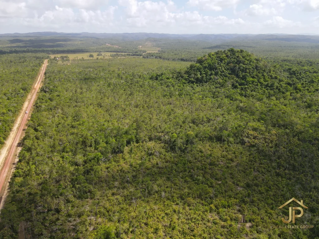jungle land for sale in Belize – Coastal Road view – JP Real Estate Group