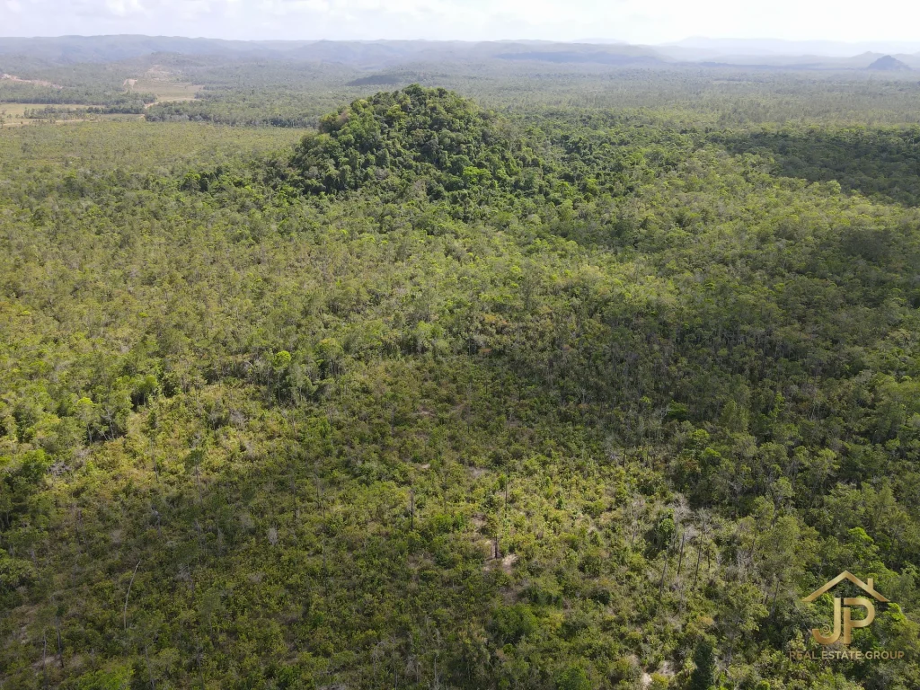 jungle land for sale in Belize – Coastal Road view – JP Real Estate Group