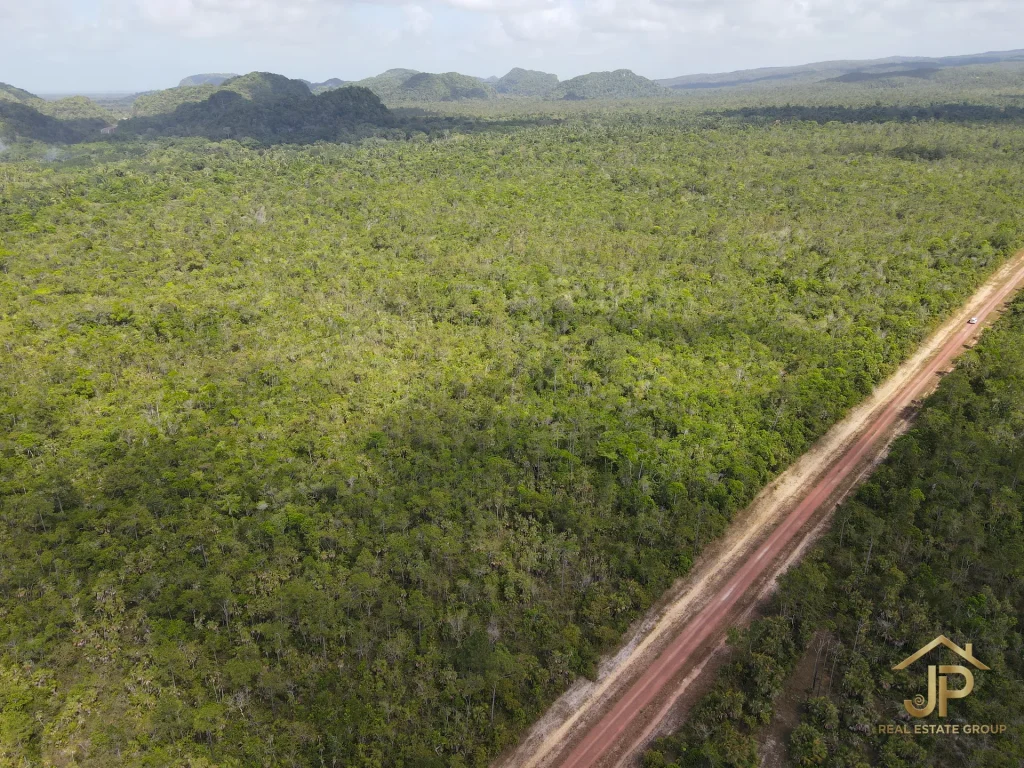 jungle land for sale in Belize – Coastal Road view – JP Real Estate Group