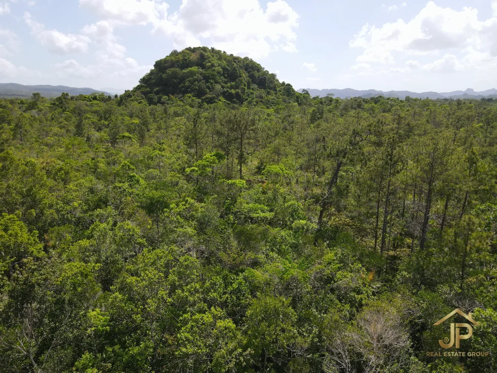 jungle land for sale in Belize – Coastal Road view – JP Real Estate Group