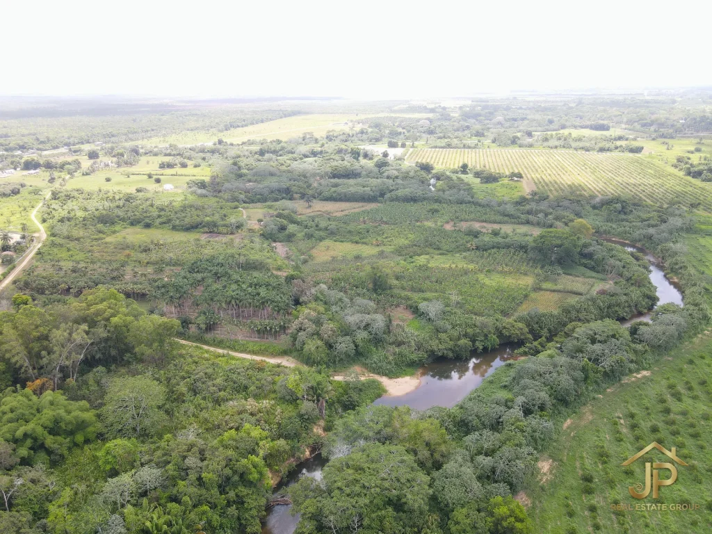 riverfront land for sale in Belize - Hope Creek view - JP Real Estate Group
