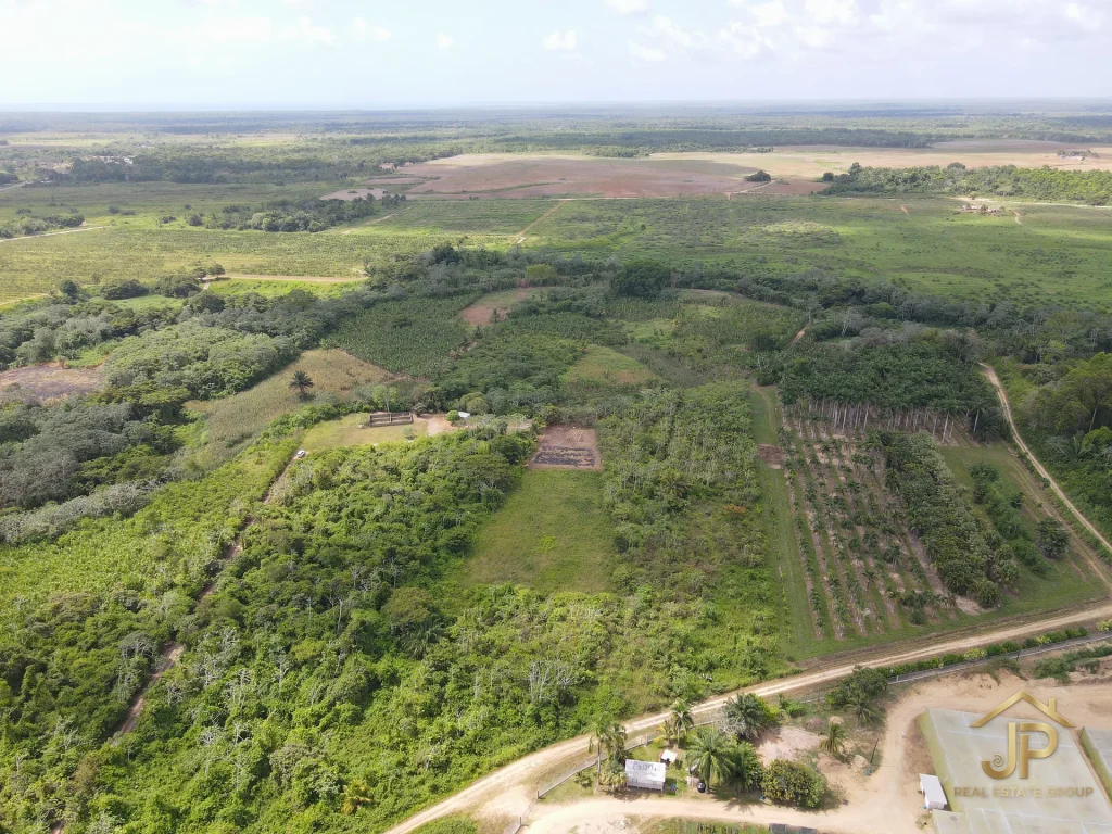 riverfront land for sale in Belize - Hope Creek view - JP Real Estate Group