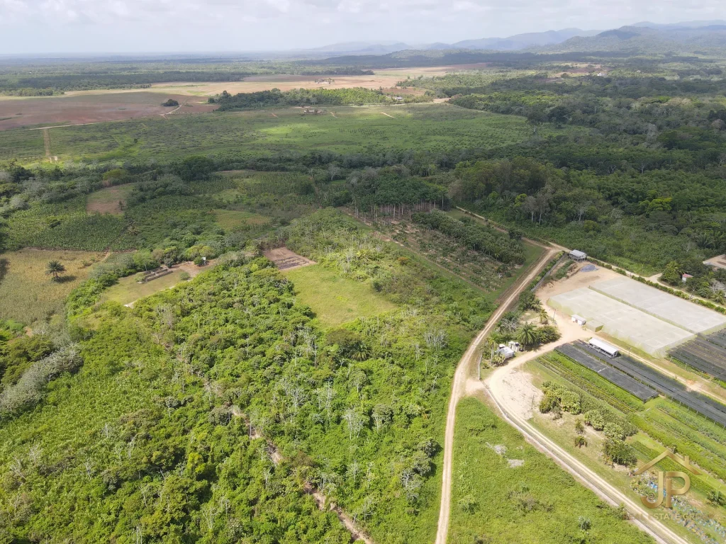 riverfront land for sale in Belize - Hope Creek view - JP Real Estate Group