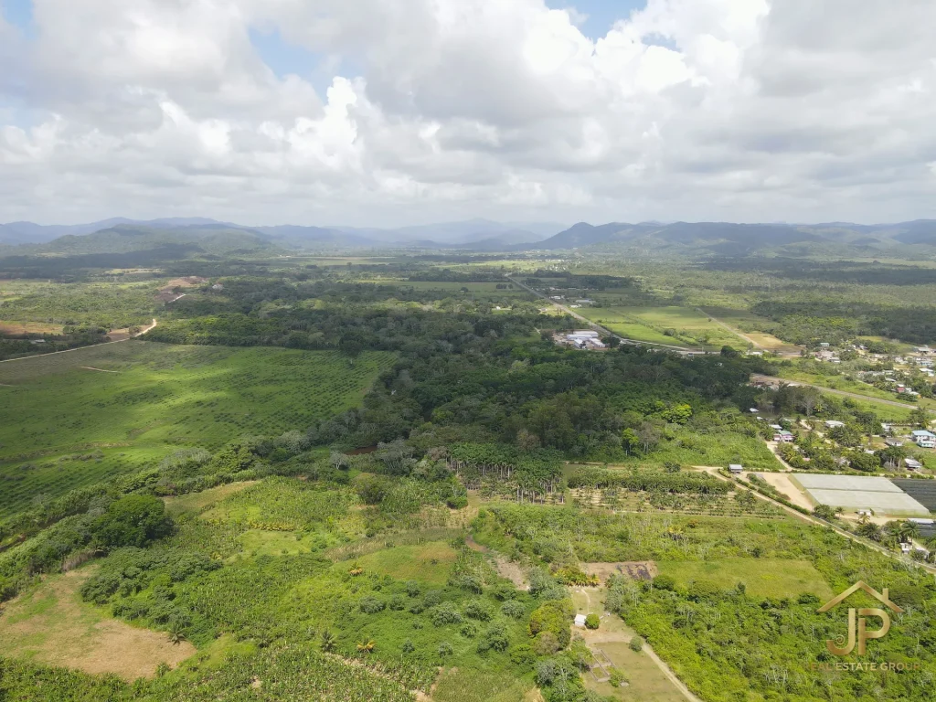 riverfront land for sale in Belize - Hope Creek view - JP Real Estate Group