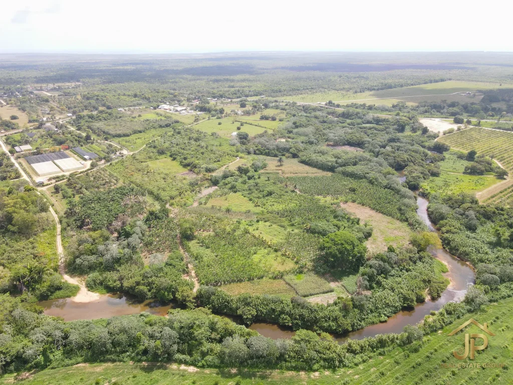 riverfront land for sale in Belize - Hope Creek view - JP Real Estate Group