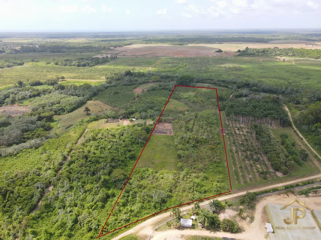 riverfront land for sale in Belize - Hope Creek view - JP Real Estate Group