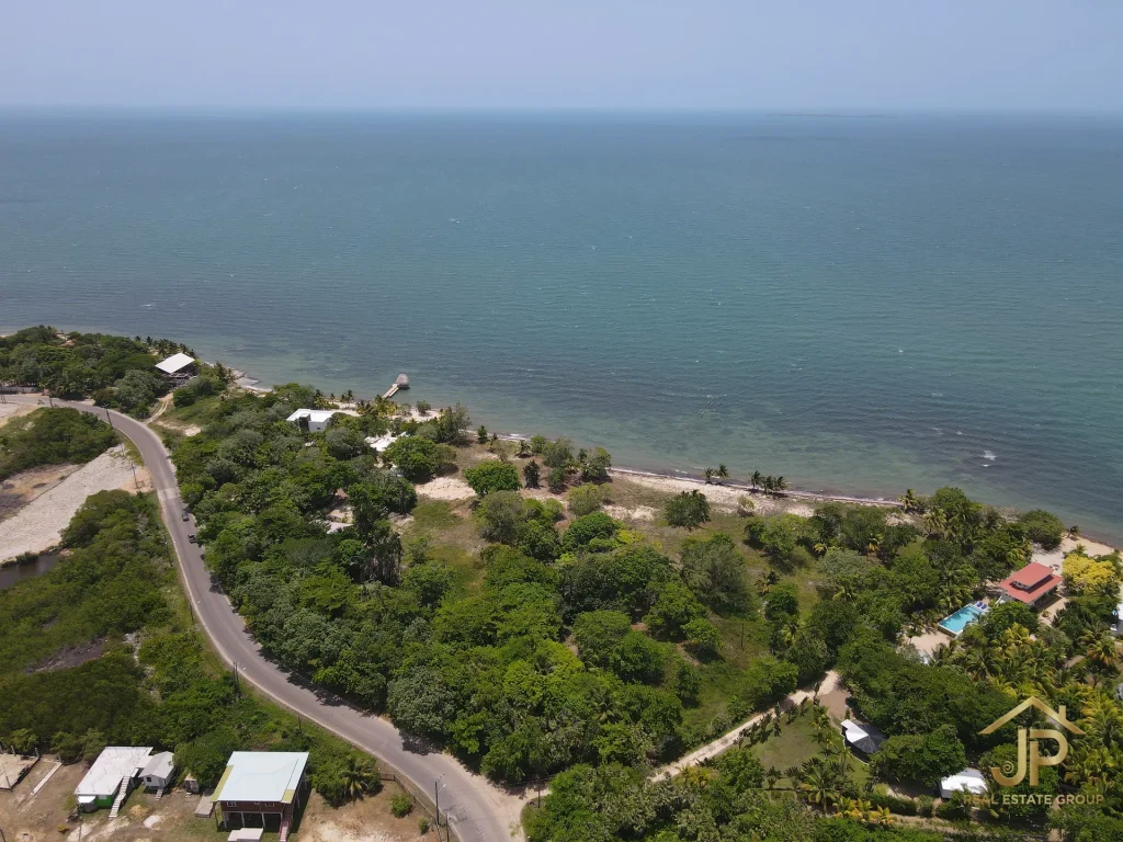 Placencia Peninsula homesite for sale near Caribbean Sea and mature trees - JP Real Estate Group