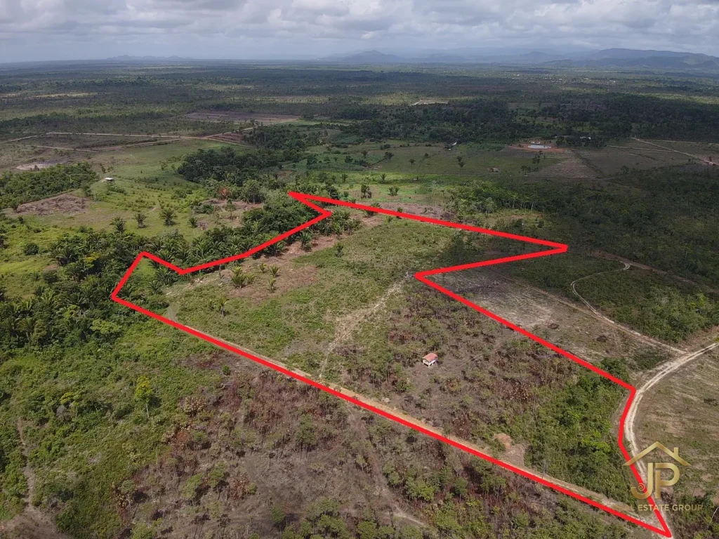 13-acre rural land for sale in Santa Cruz Stann Creek with marked boundaries - JP Real Estate Group