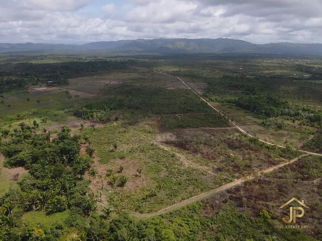 creekfront land for sale in Belize aerial view of rural acreage and access road - JP Real Estate Group