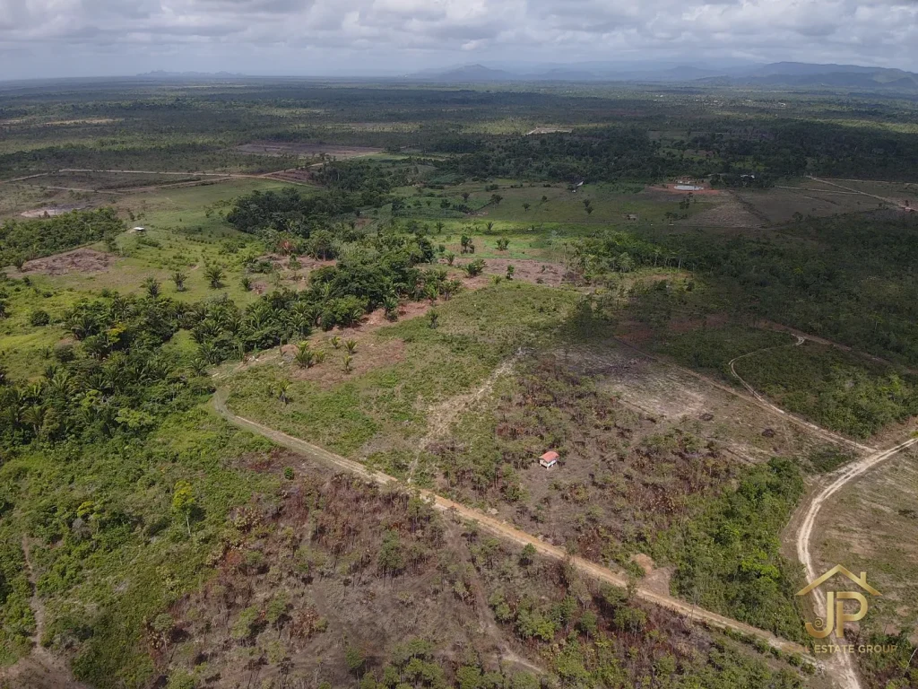 13.36-acre Santa Cruz Village property aerial view with cleared land and surrounding forest - JP Real Estate Group