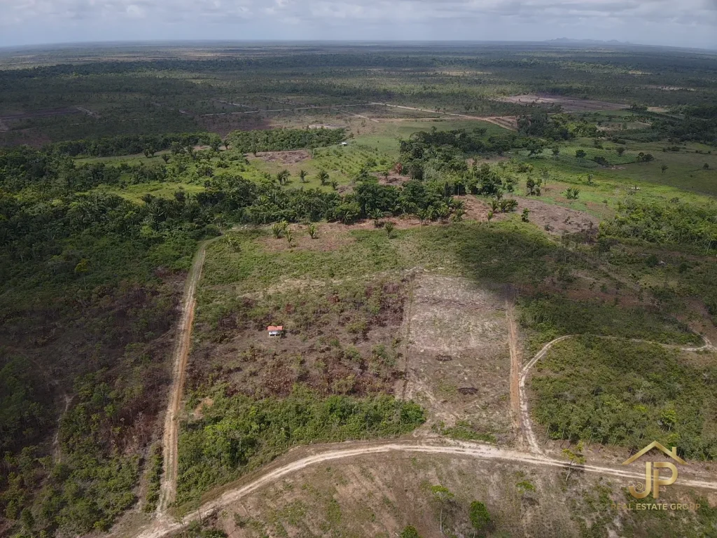 Belize off-grid homestead land aerial view with cleared areas and rural surroundings - JP Real Estate Group