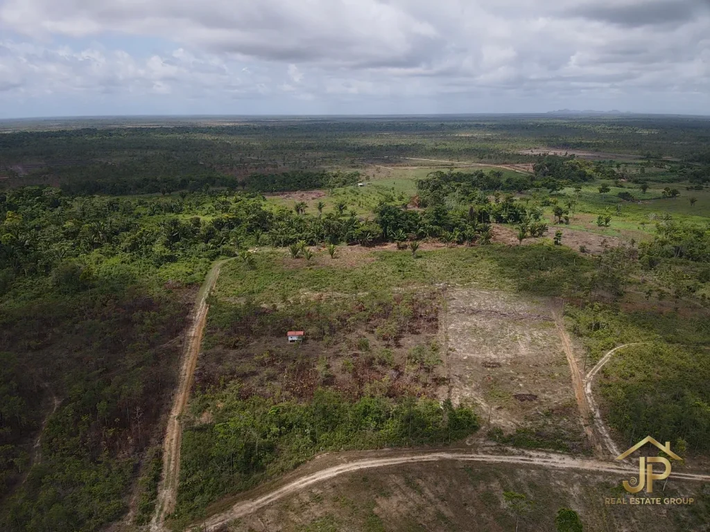 creekfront farmland for sale in Santa Cruz Belize with forest and open land context - JP Real Estate Group