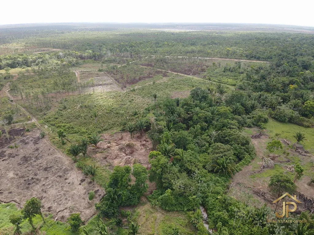 rural Belize land for sale in Santa Cruz Village with agricultural potential - JP Real Estate Group