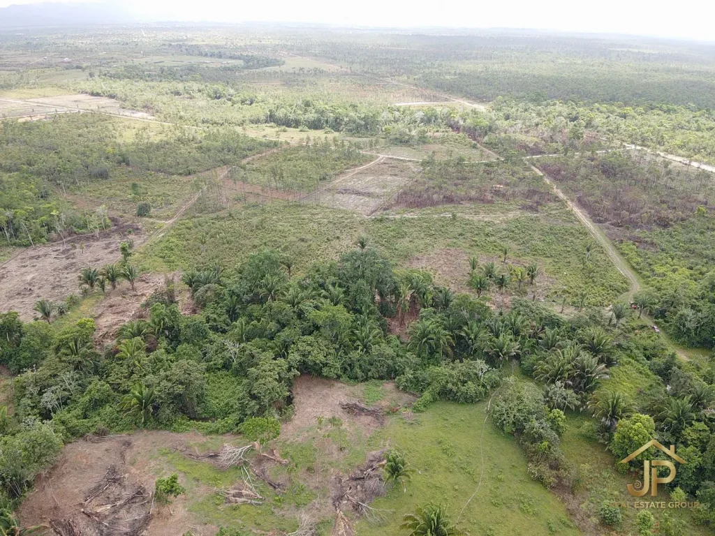 13.36-acre creekfront property in Stann Creek Belize aerial landscape view - JP Real Estate Group