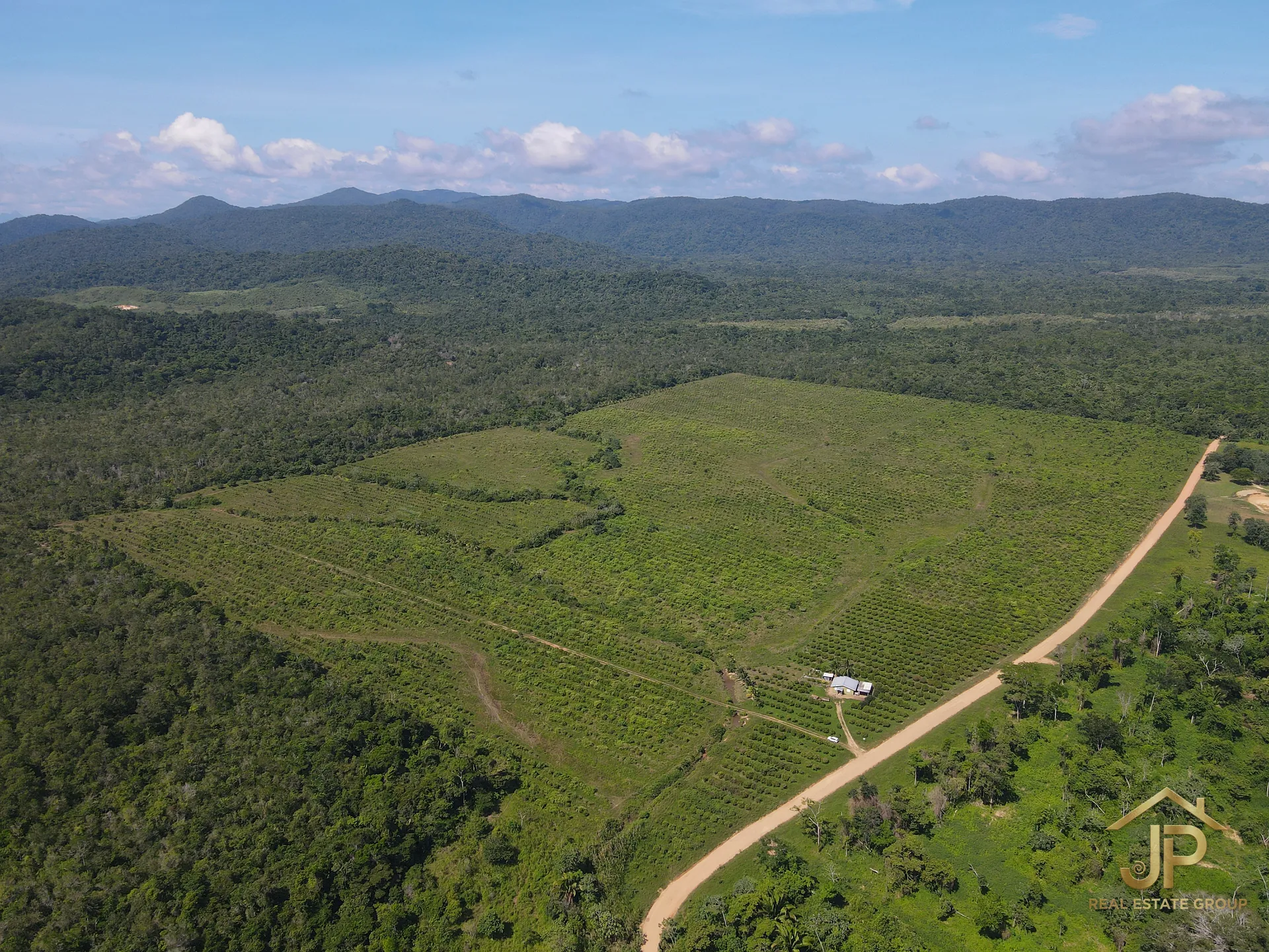 135-Acre Income-Producing Citrus Estate for Sale in Belize – Mayflower Region
