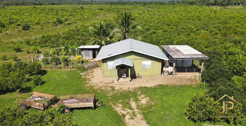 citrus farm for sale in Belize – year-round running water through the property – JP Real Estate Group