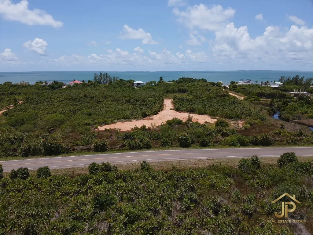 Caribbean Way Placencia beach access lots aerial view with road and shoreline context - JP Real Estate Group