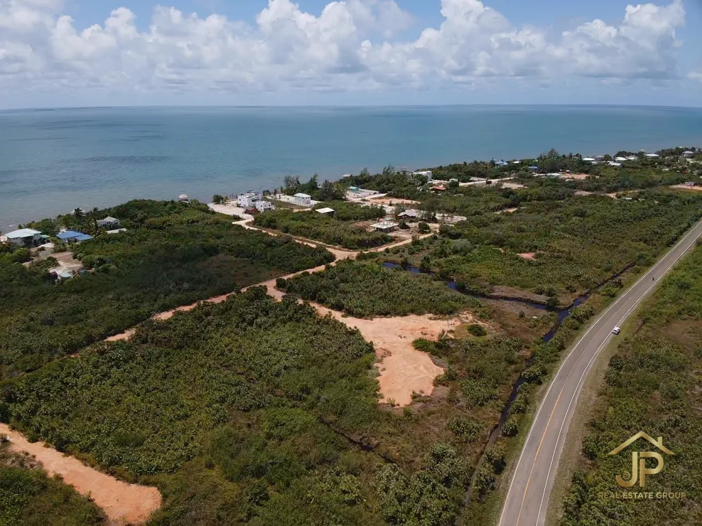 Placencia Peninsula lots aerial view showing Caribbean Way and nearby homes - JP Real Estate Group