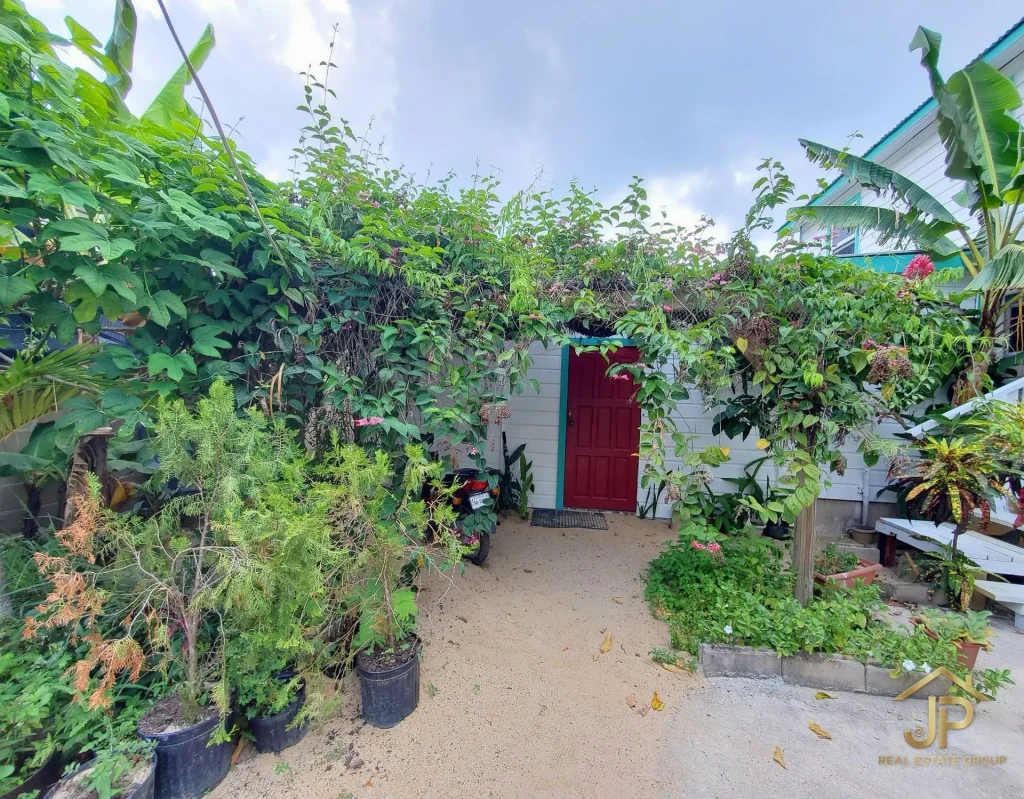 Green bathroom area in Placencia Village guest accommodation