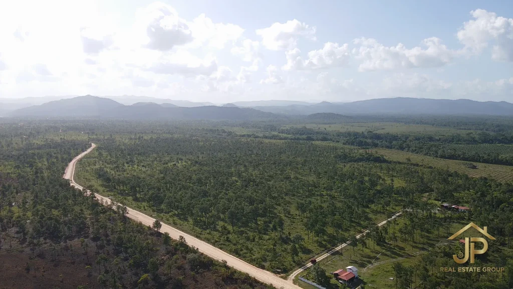 acreage for sale in Red Bank Village Belize aerial view of road access and pine savanna - JP Real Estate Group