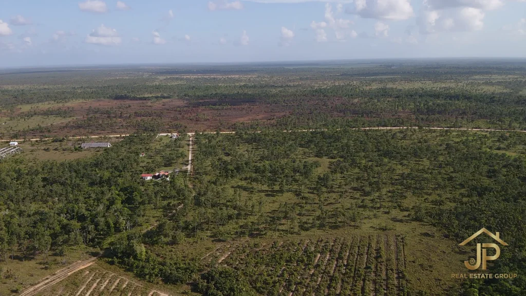 Red Bank Village Belize acreage for sale with distant Maya Mountains - JP Real Estate Group