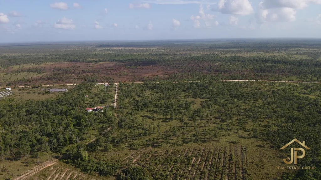 scarlet macaw habitat area land for sale in Red Bank Belize aerial landscape - JP Real Estate Group