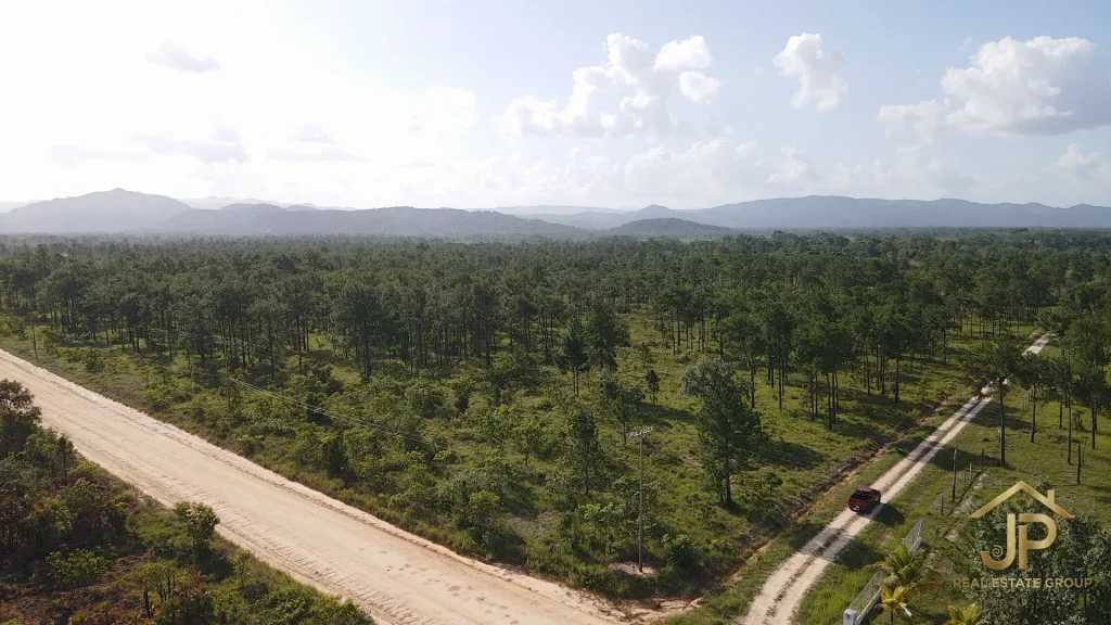 pine savanna and village road on 23 acres for sale near Placencia Belize - JP Real Estate Group