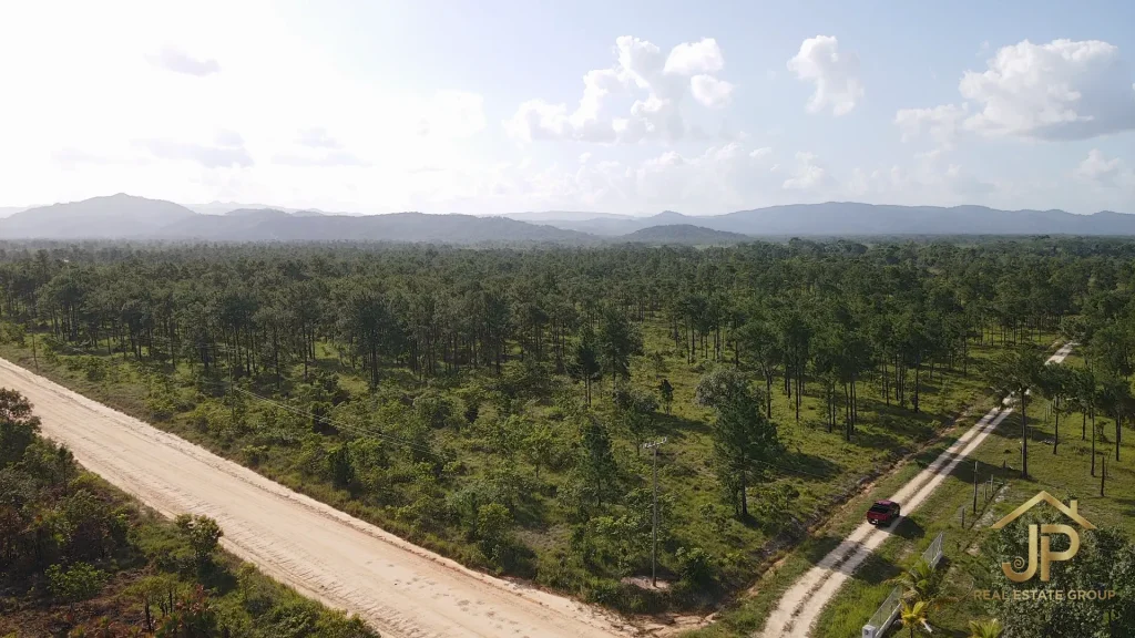 23 acres for sale in Red Bank Village Belize road frontage and open acreage - JP Real Estate Group