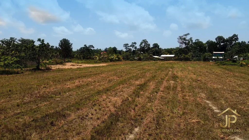 Cleared and filled acreage on the 5-acre Santa Cruz Village property