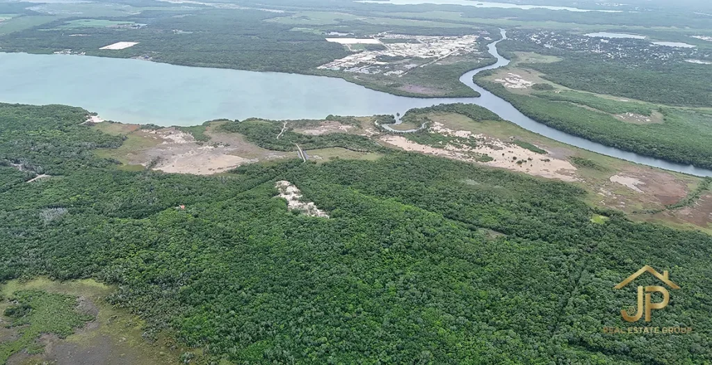 Aerial view of forested land beside waterways near Chetumal