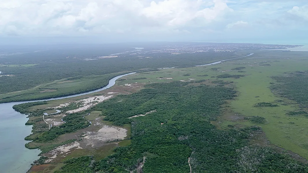 20 Acre Agricultural Opportunity Near Chetumal