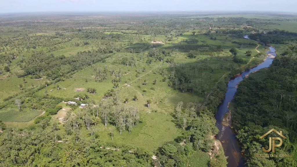 202-acre ranch pasture and river in Stann Creek - JP Real Estate Group