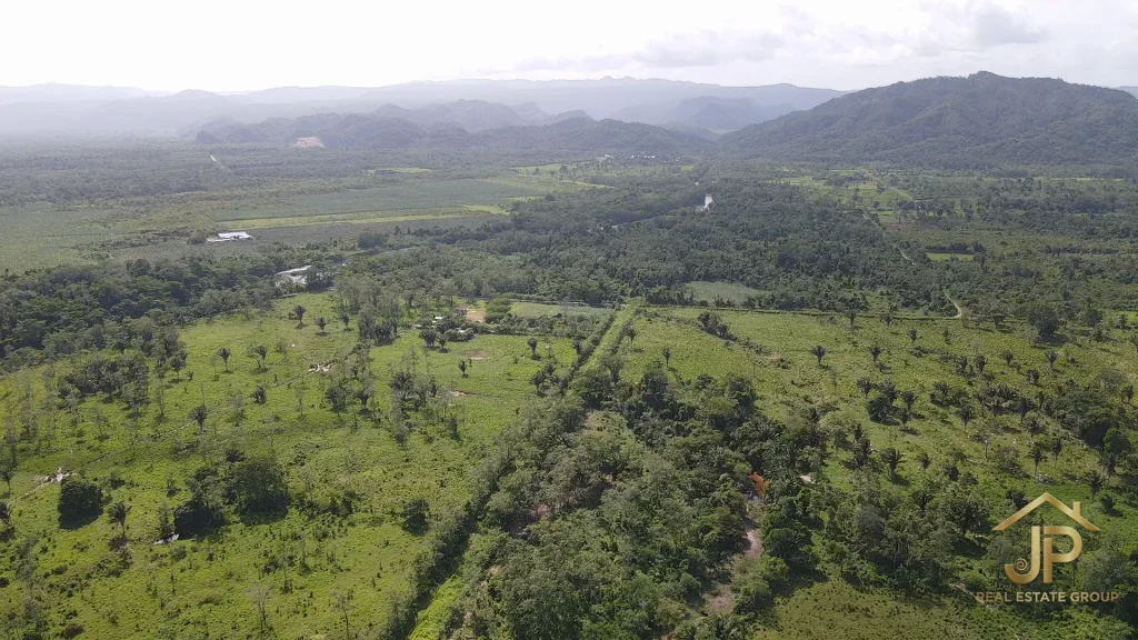 cattle pasture and forest on Red Bank ranch - JP Real Estate Group