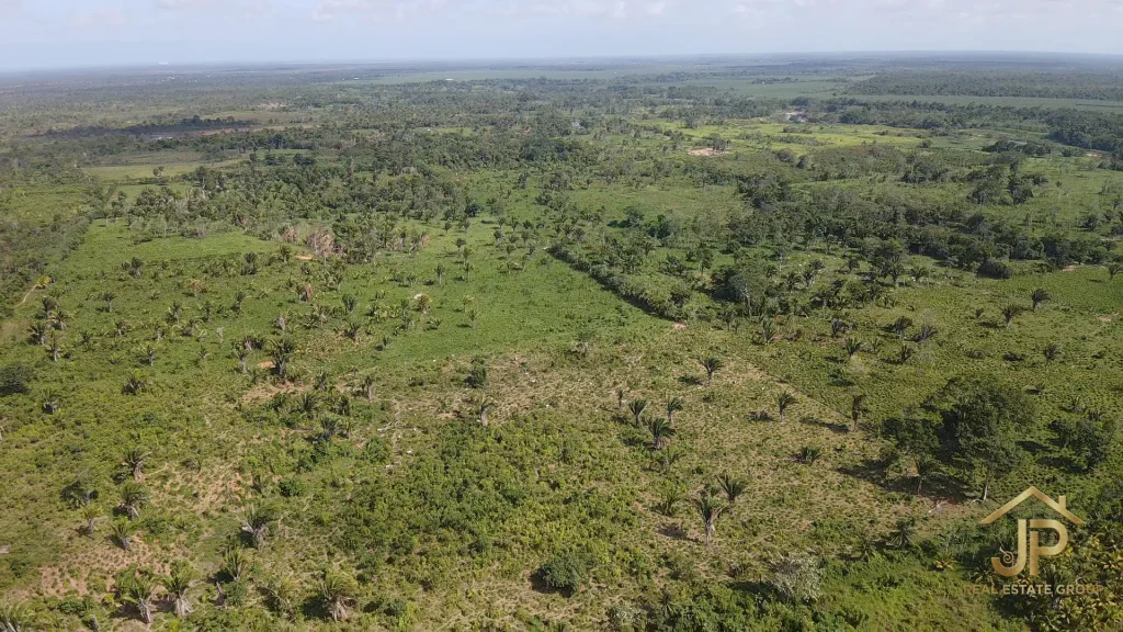 expansive farmland at Red Bank Stann Creek - JP Real Estate Group